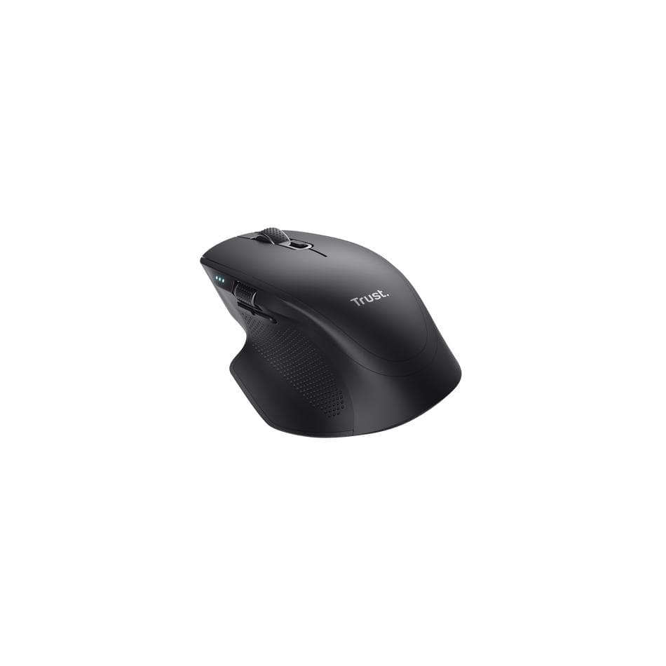 Souris TRUST 24820